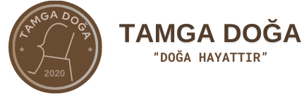 tamga